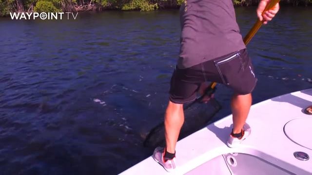 Saltwater Experience S12:E1 