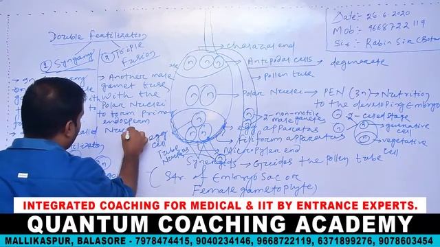 BOTANY (DOUBLE FERTILIZION) LECTURE 1 смотреть онлайн