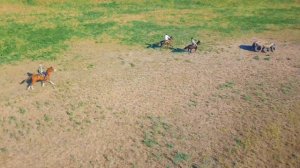 Клип 2022 Айылым