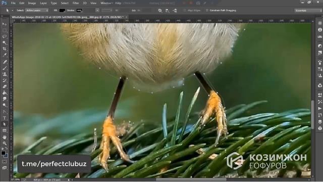 ADOBE PHOTOSHOP 16-DARS//"PEN TOOL" BILAN ISHLASH смотреть онлайн