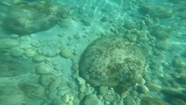 Шашлык на яхте смотреть онлайн