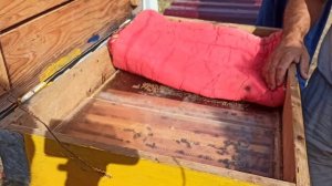 Улей изнутри. Как он устроен. Как живут пчелы и производят мед