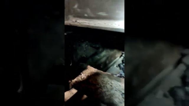 Минусы котла зота магнум 20. смотреть онлайн