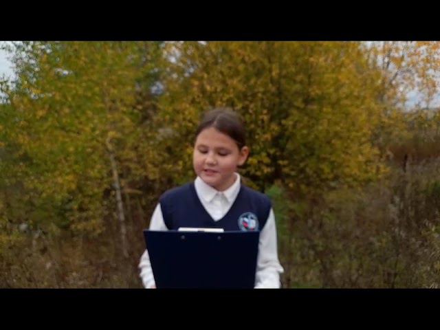 С.Г.Чавайн «Роща». Прокопьева Полина Дмитриевна. 10 лет смотреть онлайн