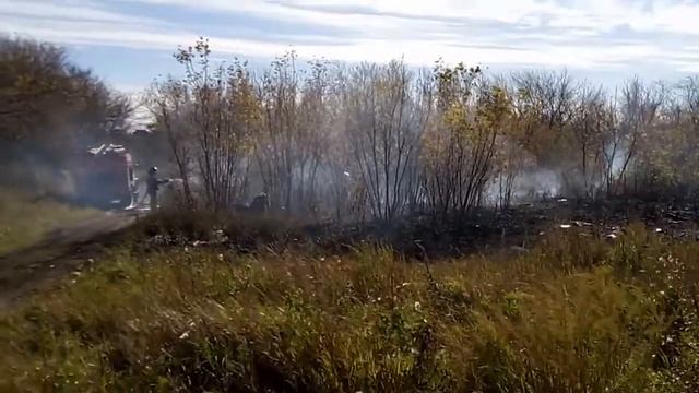 Зелёный лог горит!! И там диван? смотреть онлайн