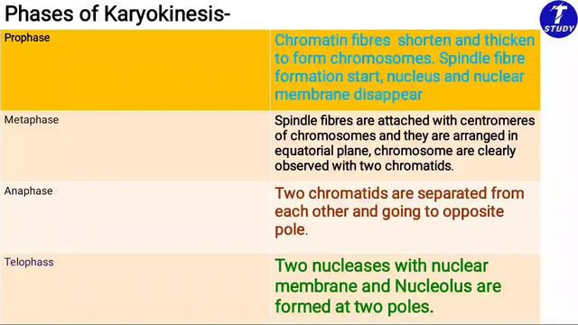 Cytology (Clear and complete idea) class 3_For wbcs_ssc_Bank_Rail_NTPC etc exam смотреть онлайн