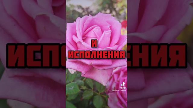 Пожелание хорошего настроения. Законы Вселенной. Аффирмации.