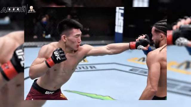 ОБЗОР UFC 259 - ВСЕ БОИ - Исраэль Адесанья, Ян Блахович, Пётр Ян, Алджэмейн Стерлинг, Ислам Махачев смотреть онлайн