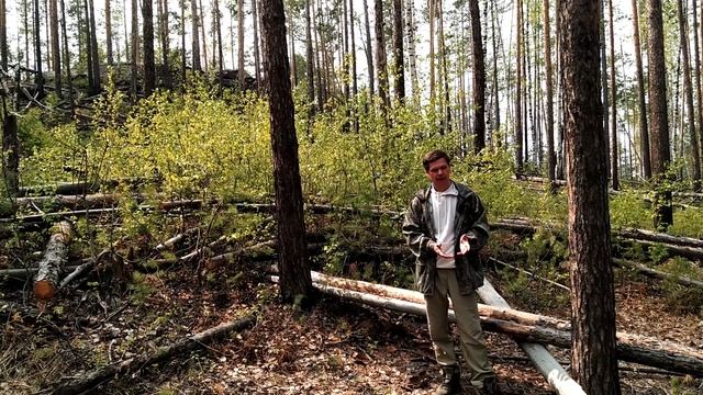 Лидеры - полная версия