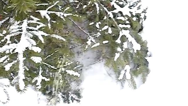 Дача утро смотреть онлайн