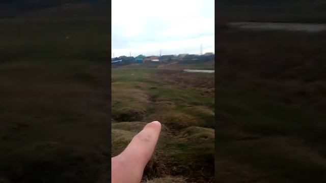 Наша река ЗАЛАРИНКА смотреть онлайн