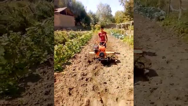 Мотоблок honda белорусский мотор Японский смотреть онлайн