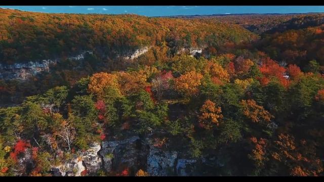 Топ 10 самых Больших Лесов Планеты #топ10 #самыйбольшойлес смотреть онлайн