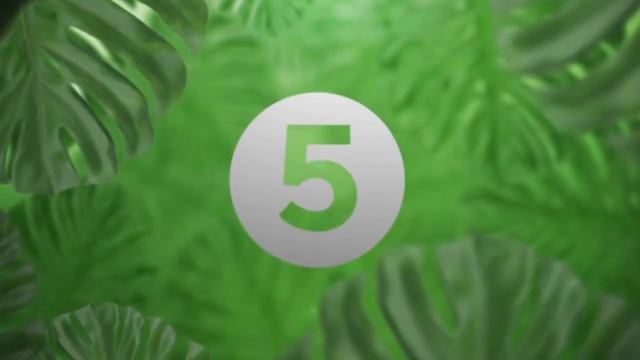 Мебель для гостиной Nature Глазов в интернет-магазине Vobox смотреть онлайн