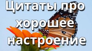 Цитаты про хорошее настроение