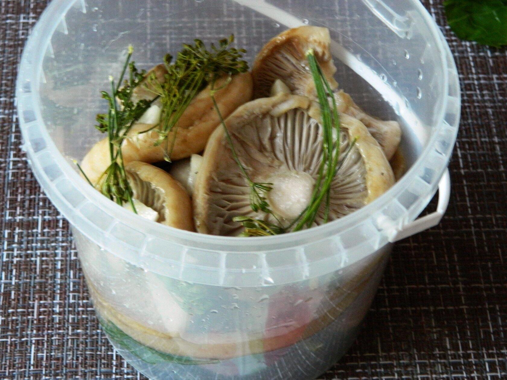 ВОТ ТАК НУЖНО СОЛИТЬ ГРУЗДИ смотреть онлайн