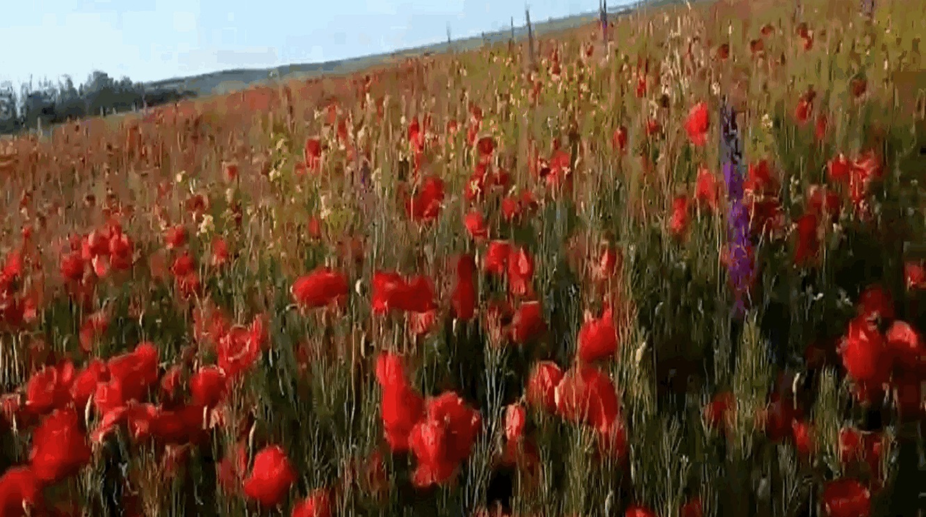 «ВОСПОМИНАНИЯ».mp4 смотреть онлайн