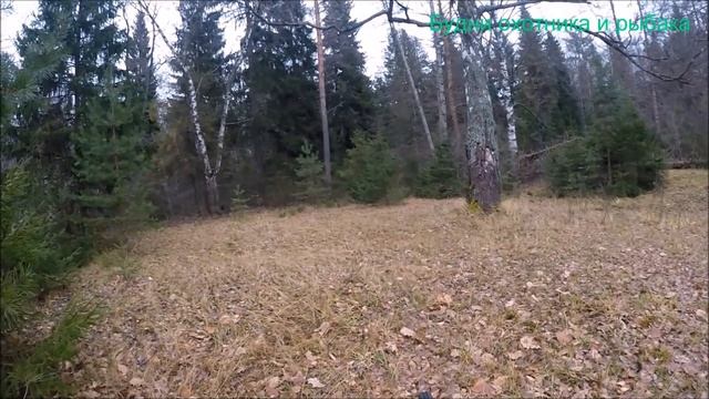 Попутная добыча при обходе путиков на куницу (Будни охотника и рыбака)