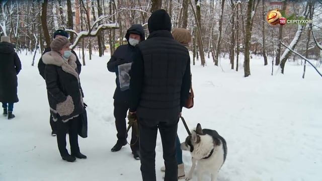 В Серпухове прошёл рейд по проверке соблюдения правил выгула собак смотреть онлайн