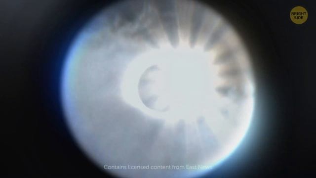 Scientific Discoveries That Made 2019 a Fantastic Year смотреть онлайн