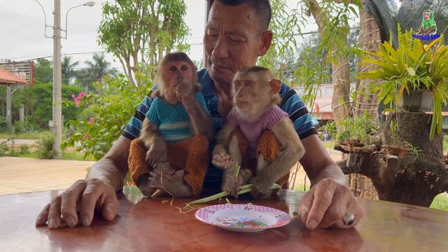 Grandpa is happy to let Sam & Asher enjoy the Sticky Beans смотреть онлайн