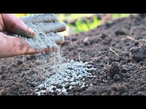 В апреле сразу после снега раскидайте по всем грядкам это удобрение. Забудете о подкормках летом!