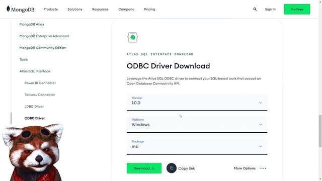 How to connect mongodb atlas with power BI (complete guide) смотреть онлайн