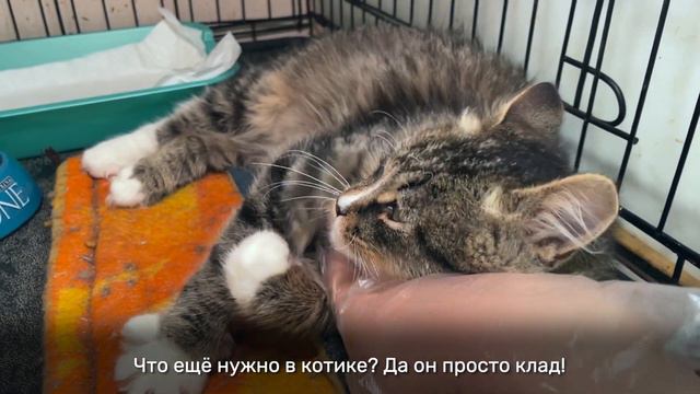 ГРИШКА смотреть онлайн