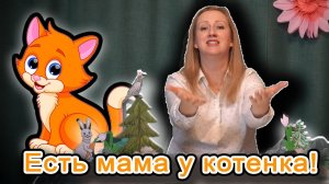 Есть мама у котенка  детская песня слушать