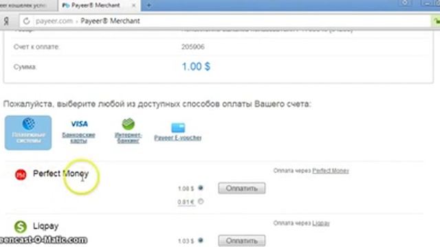 PAYEER - Платежная система-обменник. Основы смотреть онлайн