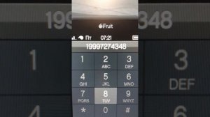 разные номера в GTA V