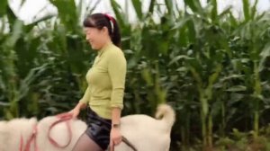 Chinesse girl on a sheep. Китаянка на овце