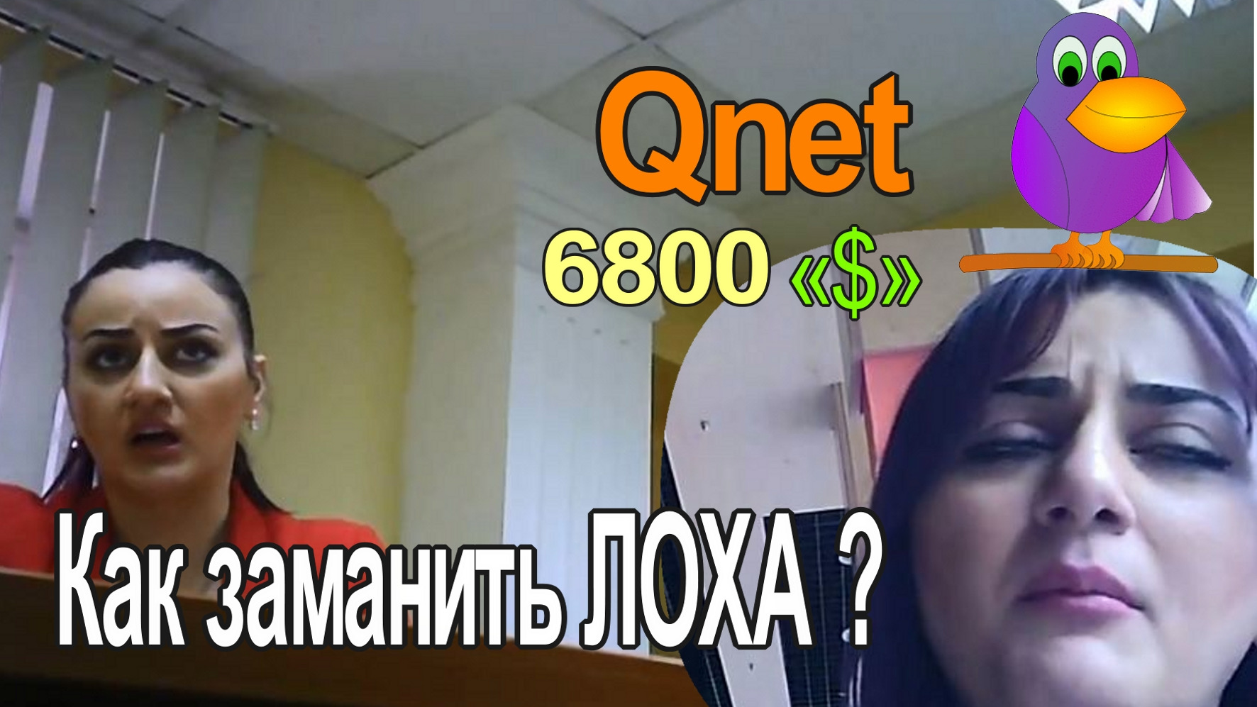 Как заманить ЛОХА в Qnet.