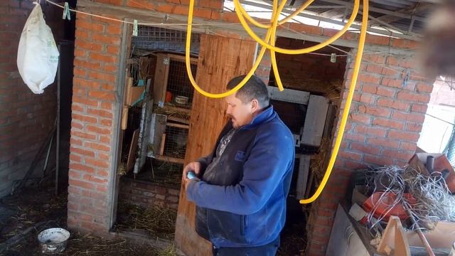 Кролики ризен взвешивания смотреть онлайн