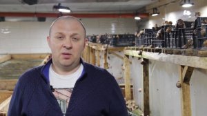 Ферма улиток. Разведение и выращивание улиток. Как правильно содержать маточное стадо?! Часть 2-я!