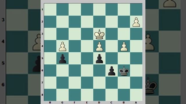 Эндшпиль. Остаться в живых. Часть 10 