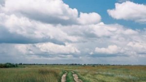 Пикалов Павел Шаганэ,ты моя Шаганэ