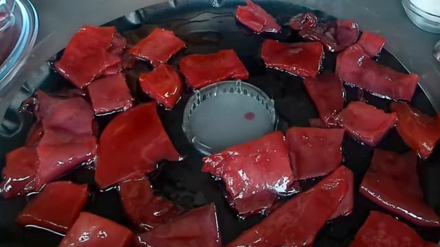 Fruity Scoby Candy | Pepper Ammy's Sweet Treats