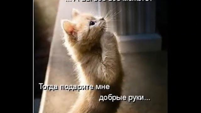 1А Социальный ролик Сделаем мир добрее смотреть онлайн