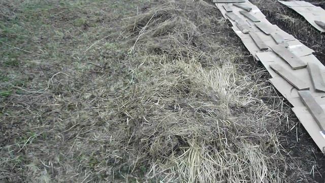 вот для чего мне картон! смотреть онлайн