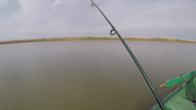 Что лучше , отводной или джиг ??? Ловим хищника !!!