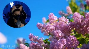 ТЕНДЕРЛИ ПОЁТ ПЕСНЮ НЕКОГЛАЯ | Я ПРИДУ КОГДА ЗАЦВЕТЁТ ВЕСНА❤