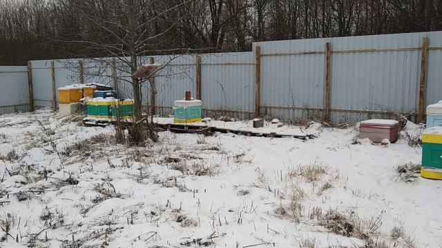 Слёт и гибель пчел. Часть 3 Александровский район, Владимирск.обл смотреть онлайн