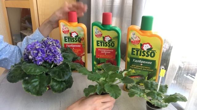 Удобрения которые я использую для своих фиалок . смотреть онлайн