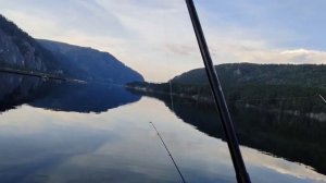 Оторвался по форели, рыбалка на Енисее!