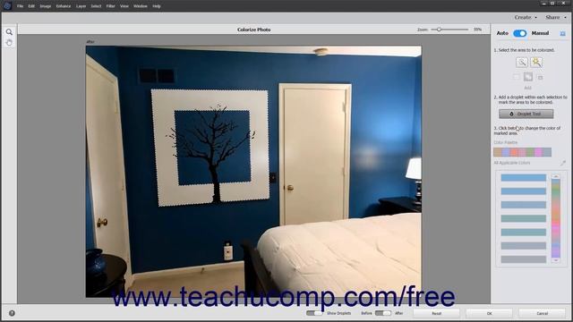 Learn How to Colorize Photos in Adobe Photoshop Elements 2022: A Training Tutorial смотреть онлайн