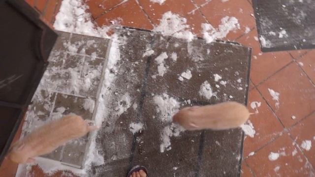 Минипиги зимой смотреть онлайн