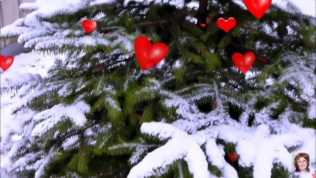 Сердце на снегу исп Радмила Караклаич