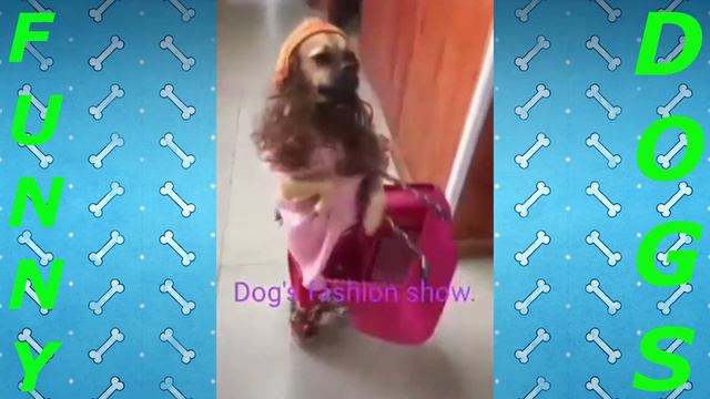 Лучшие приколы 😂 Ржака 😂 Смешные животные 😂 Тест на психику смотреть онлайн