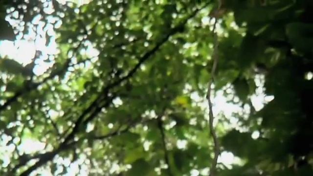 SASS Global Travel - Rincon, Puerto Rico смотреть онлайн